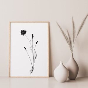minimalist ink flower wall art