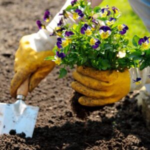 mindful garden gloves