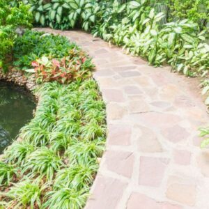 mindful garden walkway