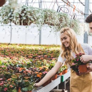 mindful garden buy plants
