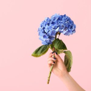 plastic blue hydrangea